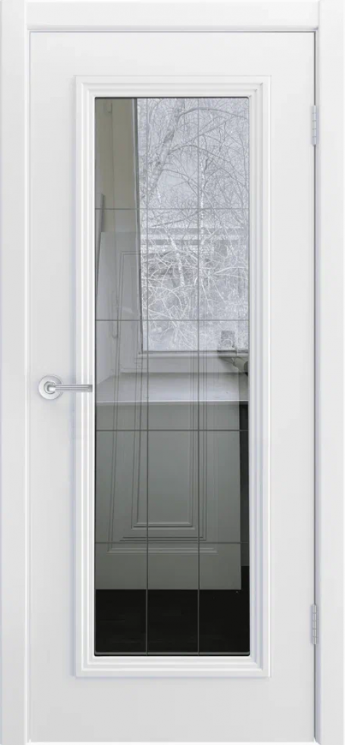 sheildoors/Скалино-1, ДО рефлектив, цвет Белый